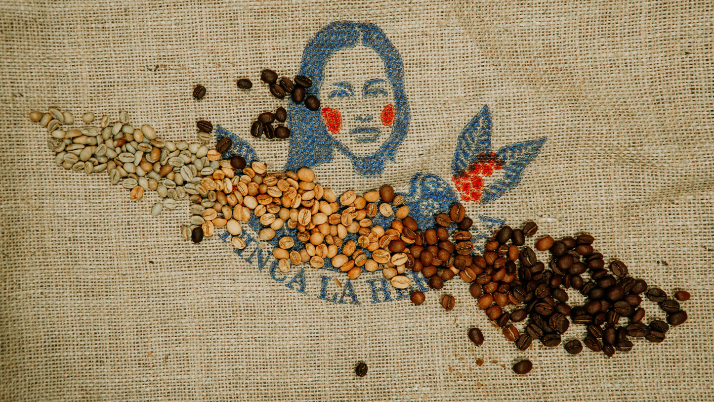 CAFFEINISTO whole beans